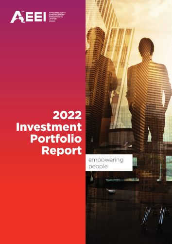 2022 Investment Portfolio Report
